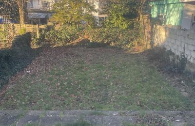 Large room in Golders Green – Bills Inc/Big Garden